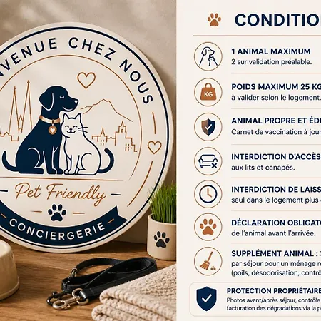 Duplex Climatisé Avec Terrasse&parking Gratuit A Appartamento Clermont-Ferrand
